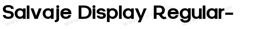 Salvaje Display Regular字体转换